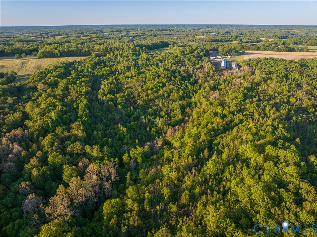 0 Poorhouse Road Green Bay, VA 23942 - Photo 9 of 24 a view of a city with lush green forest