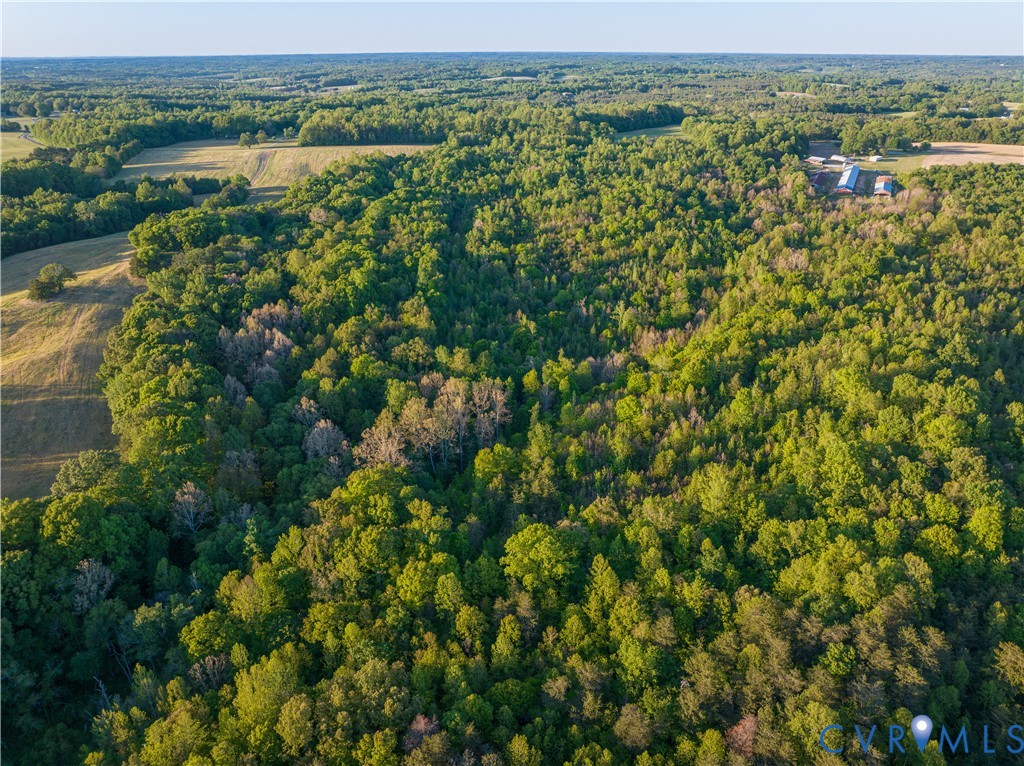 0 Poorhouse Road Green Bay, VA 23942 - Photo 10 of 24 an aerial view of residential houses with outdoor space and trees