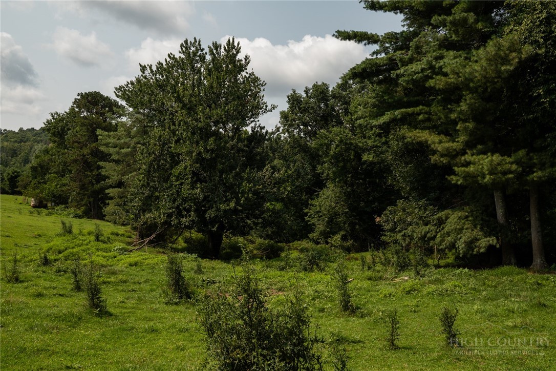 Caudill Road Glade Valley, NC 28627 - Photo 15 of 19 Gallery Image 15