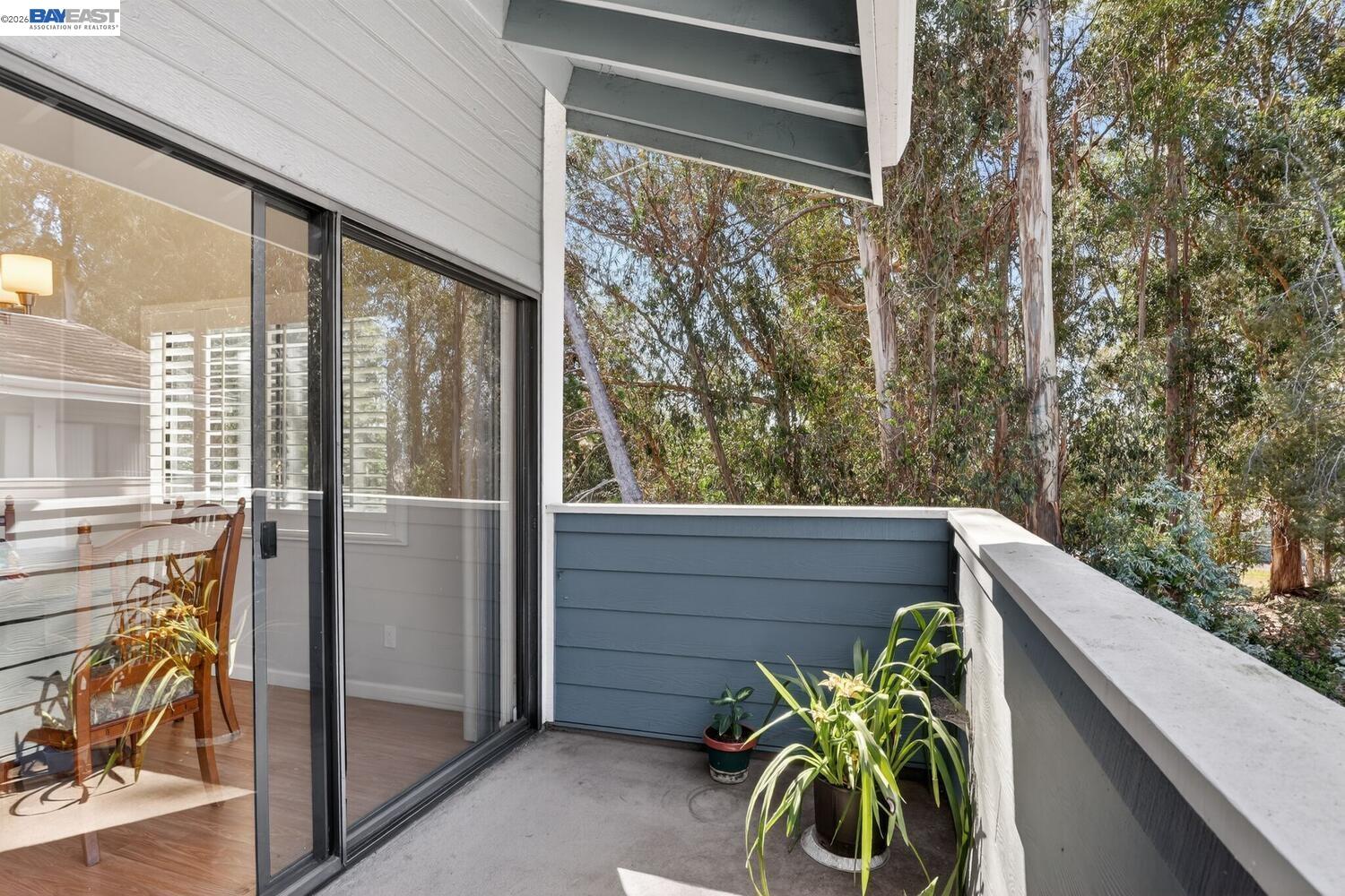 218 Apollo, Unit 3 Hercules, CA 94547 - Photo 17 of 36 Views of mature trees and common area greenery.