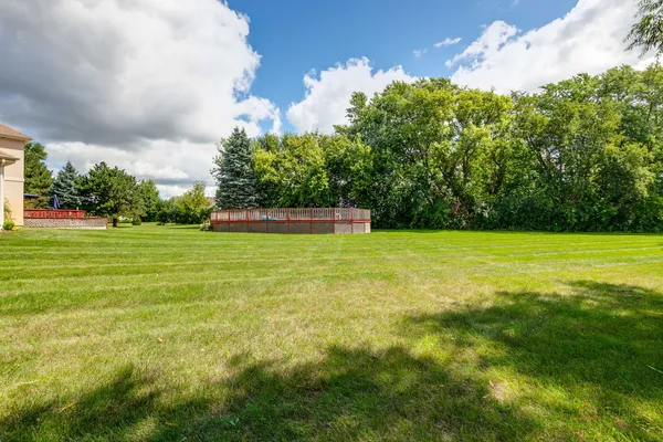 a view of a big yard with plants and large trees