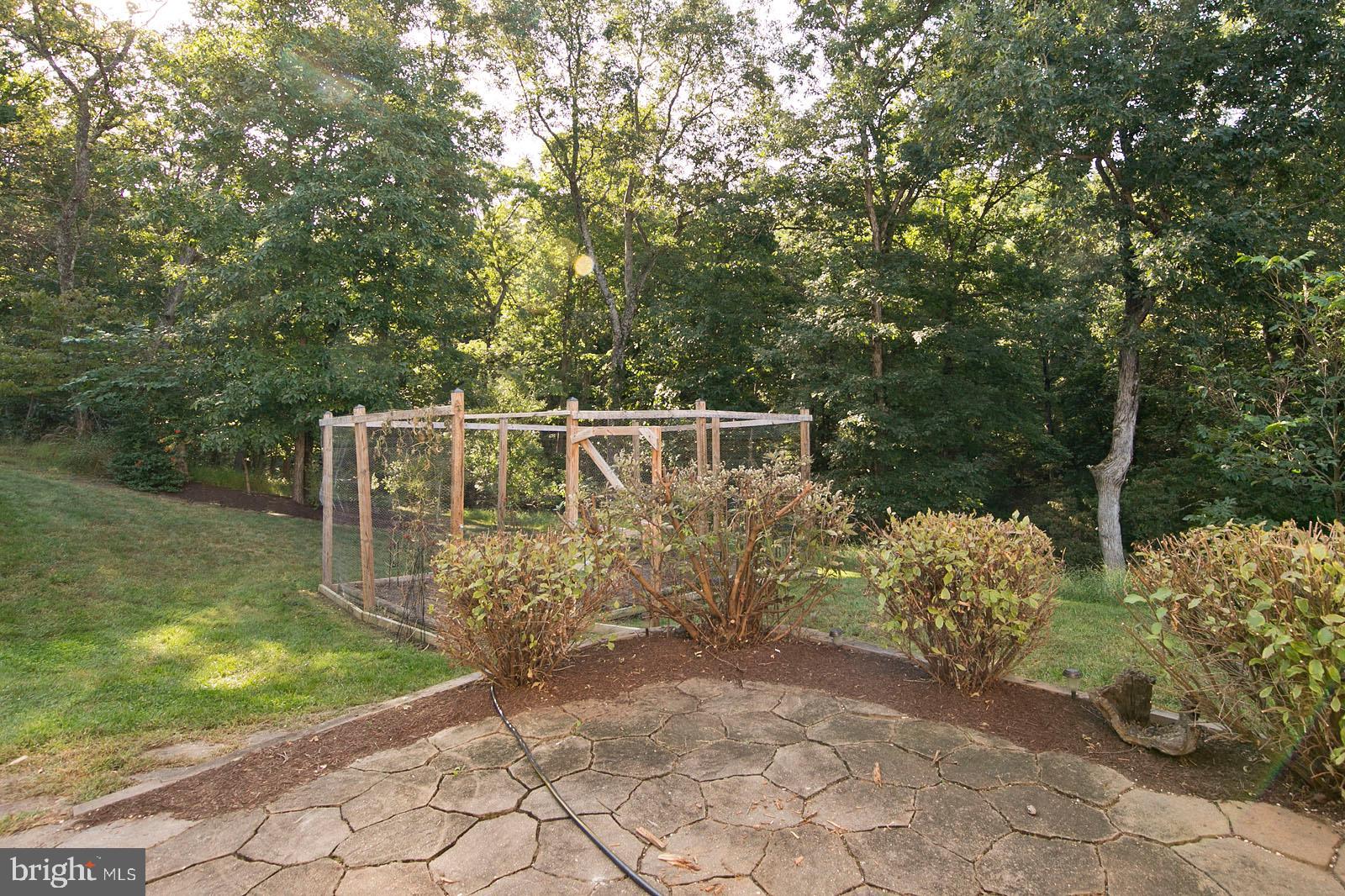 2733 Hunting Ridge Road Winchester, VA 22603 - Photo 52 of 68 Gallery Image 52