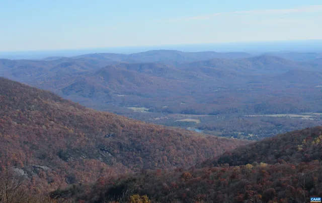 a view of a dry yard
