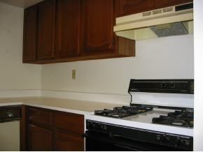 4843 Sisson Road Titusville, FL 32780 - Photo 3 of 18 Kitchen with Gas Stove