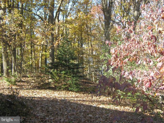1323 Linkous Road Pylesville, MD 21132 - Photo 11 of 16 Back yard