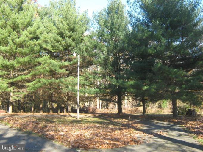 1323 Linkous Road Pylesville, MD 21132 - Photo 12 of 16 View from Unit
