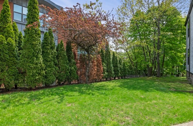 3 Philbrick Road Brookline, MA 02445 - Photo 5 of 20