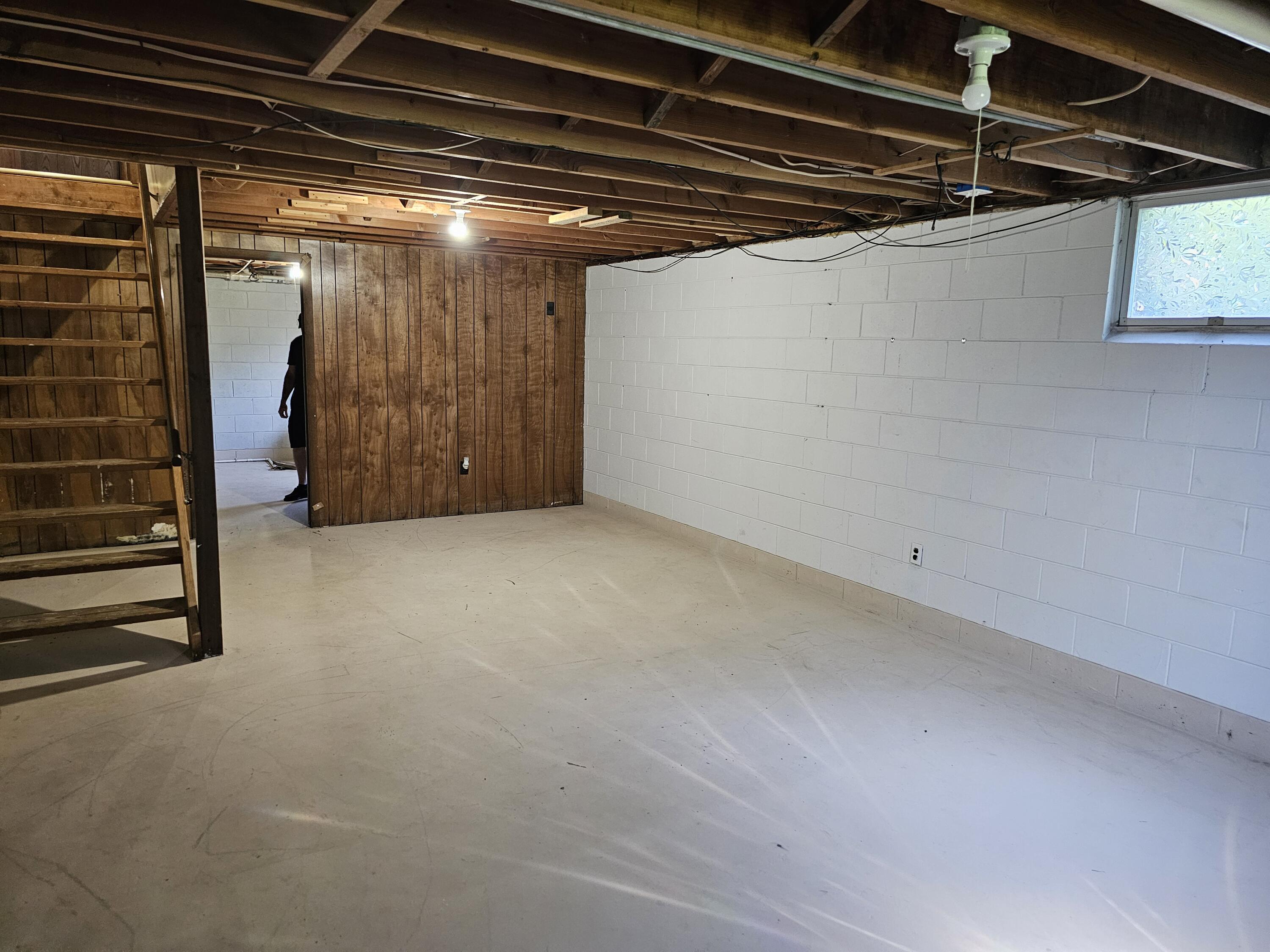 1605-1609 Pheasant Run Baroda, MI 49101 - Photo 11 of 23 basement right