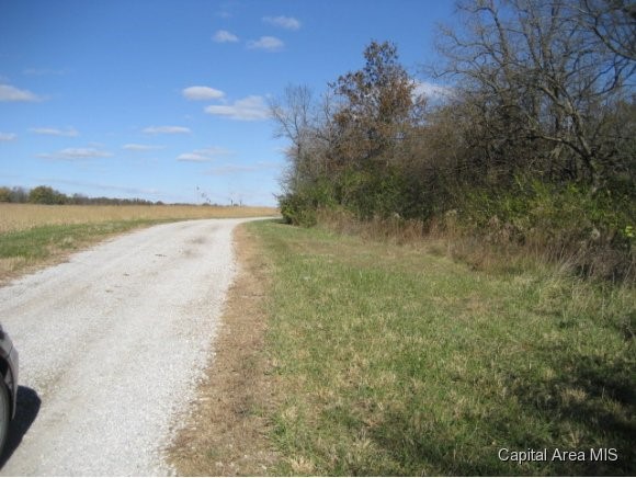 7120 Brunk Cemetery Road Rochester, IL 62563 - Photo 1 of 1