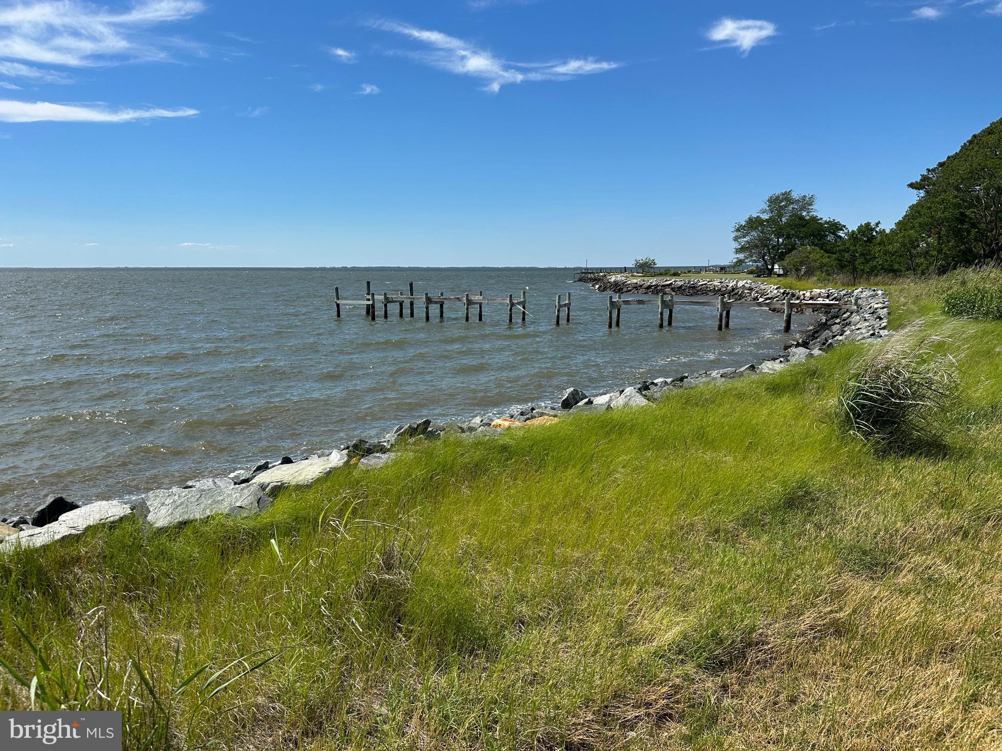 23145 Edelen Webster Road Deal Island, MD 21821 - Photo 3 of 35