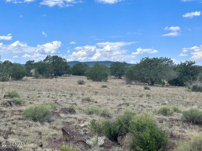 643 Cortez Ranch Road Williams, AZ 86046 - Photo 11 of 14 Cortez5