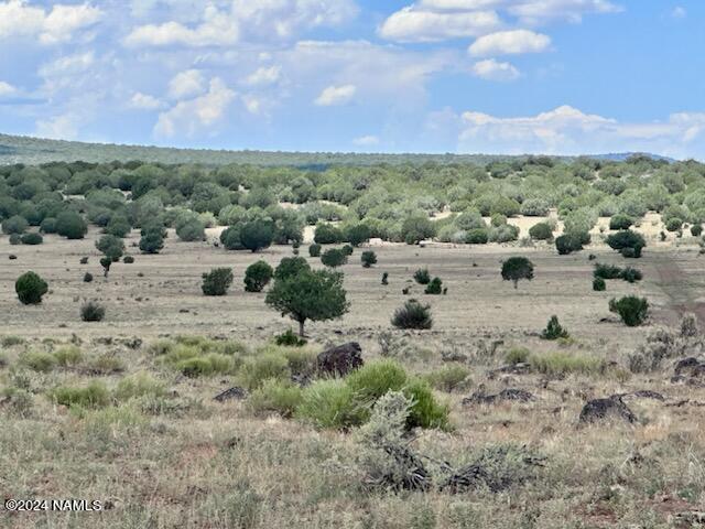 643 Cortez Ranch Road Williams, AZ 86046 - Photo 3 of 14 Cortez13