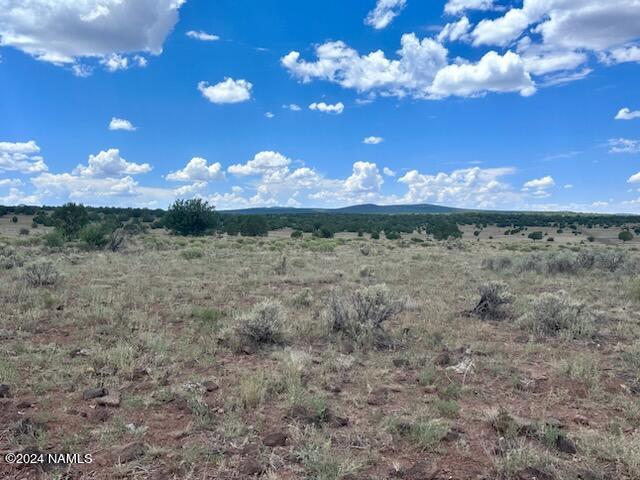 643 Cortez Ranch Road Williams, AZ 86046 - Photo 4 of 14 Cortez12