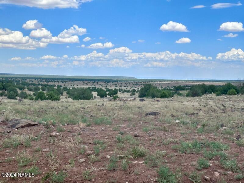 643 Cortez Ranch Road Williams, AZ 86046 - Photo 5 of 14 Cortez11