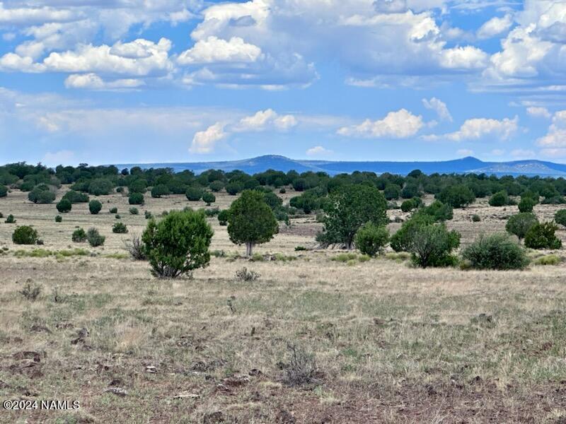 643 Cortez Ranch Road Williams, AZ 86046 - Photo 7 of 14 Cortez9