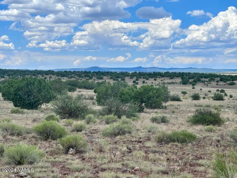 643 Cortez Ranch Road Williams, AZ 86046 - Photo 8 of 14 Cortez8