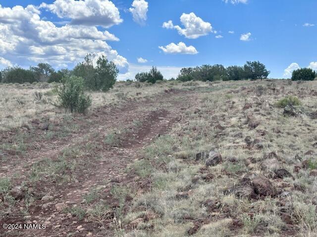 643 Cortez Ranch Road Williams, AZ 86046 - Photo 9 of 14 Cortez7