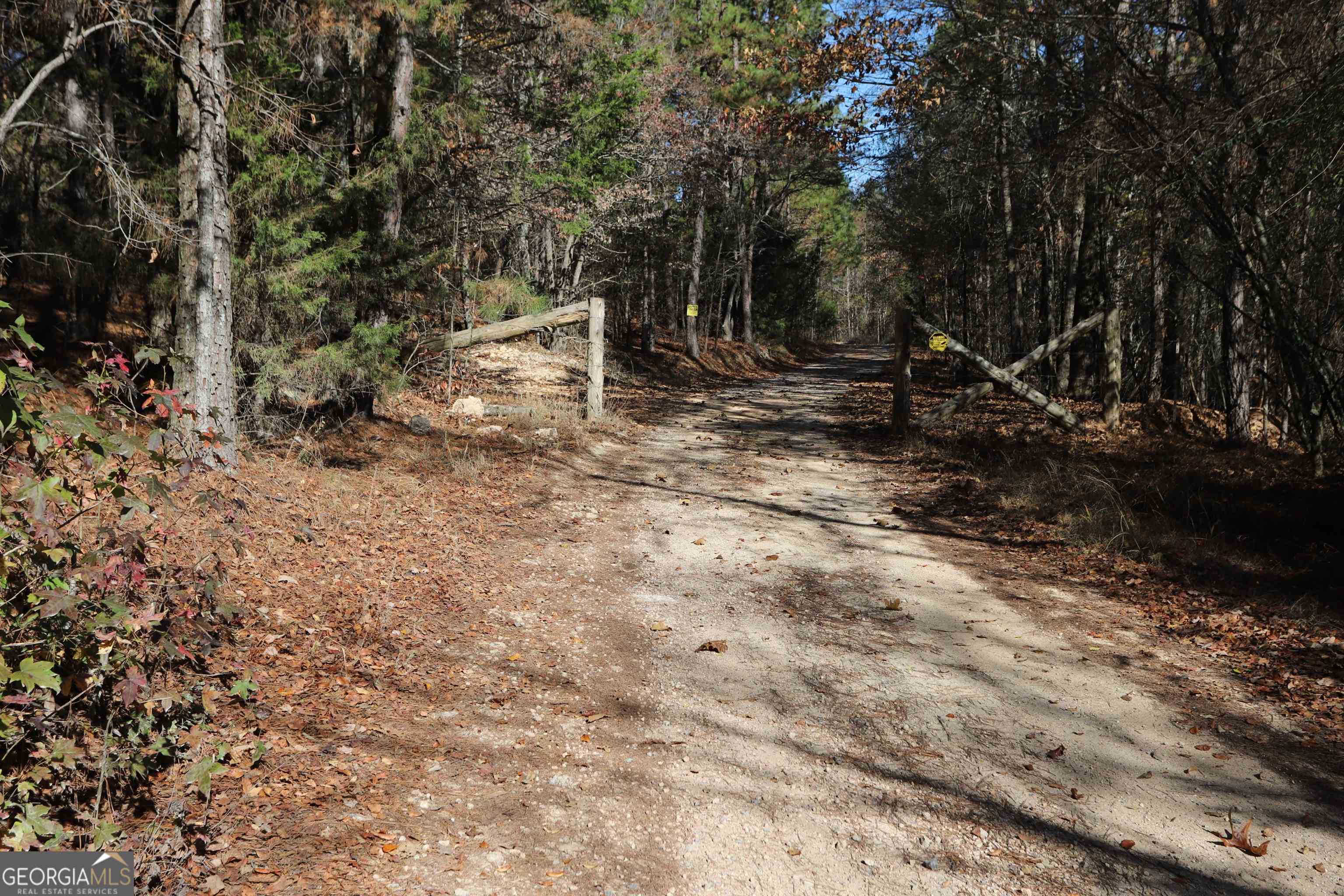 0 Starling Mill Road Lyerly, GA 30730 - Photo 1 of 1 Gallery Image 1