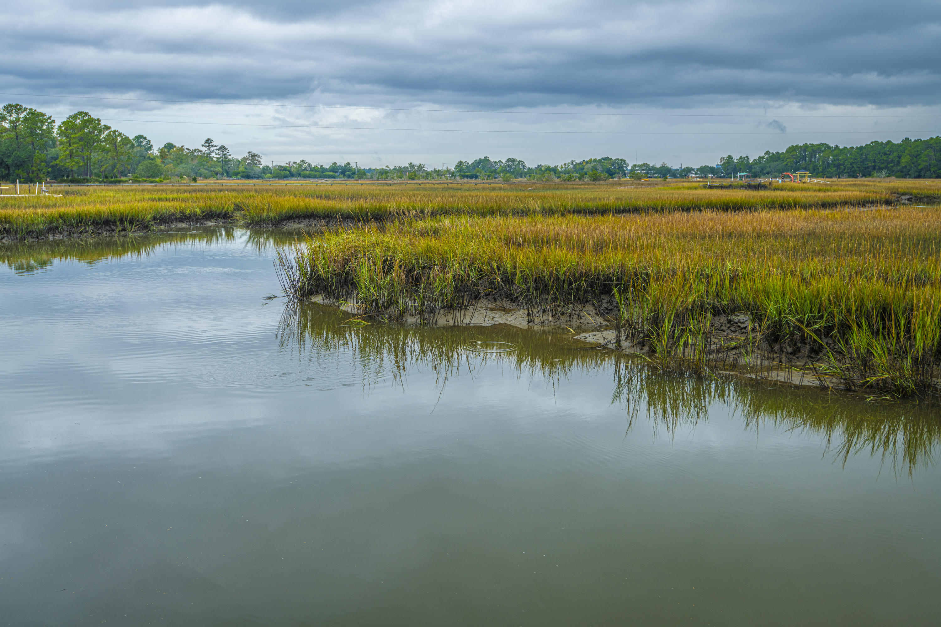 1273 River Road Johns Island, SC 29455 - Photo 3 of 32 DSC_3027