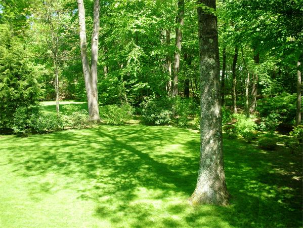 26 Chanticleer Road Sudbury, MA 01776 - Photo 9 of 14 Gallery Image 9