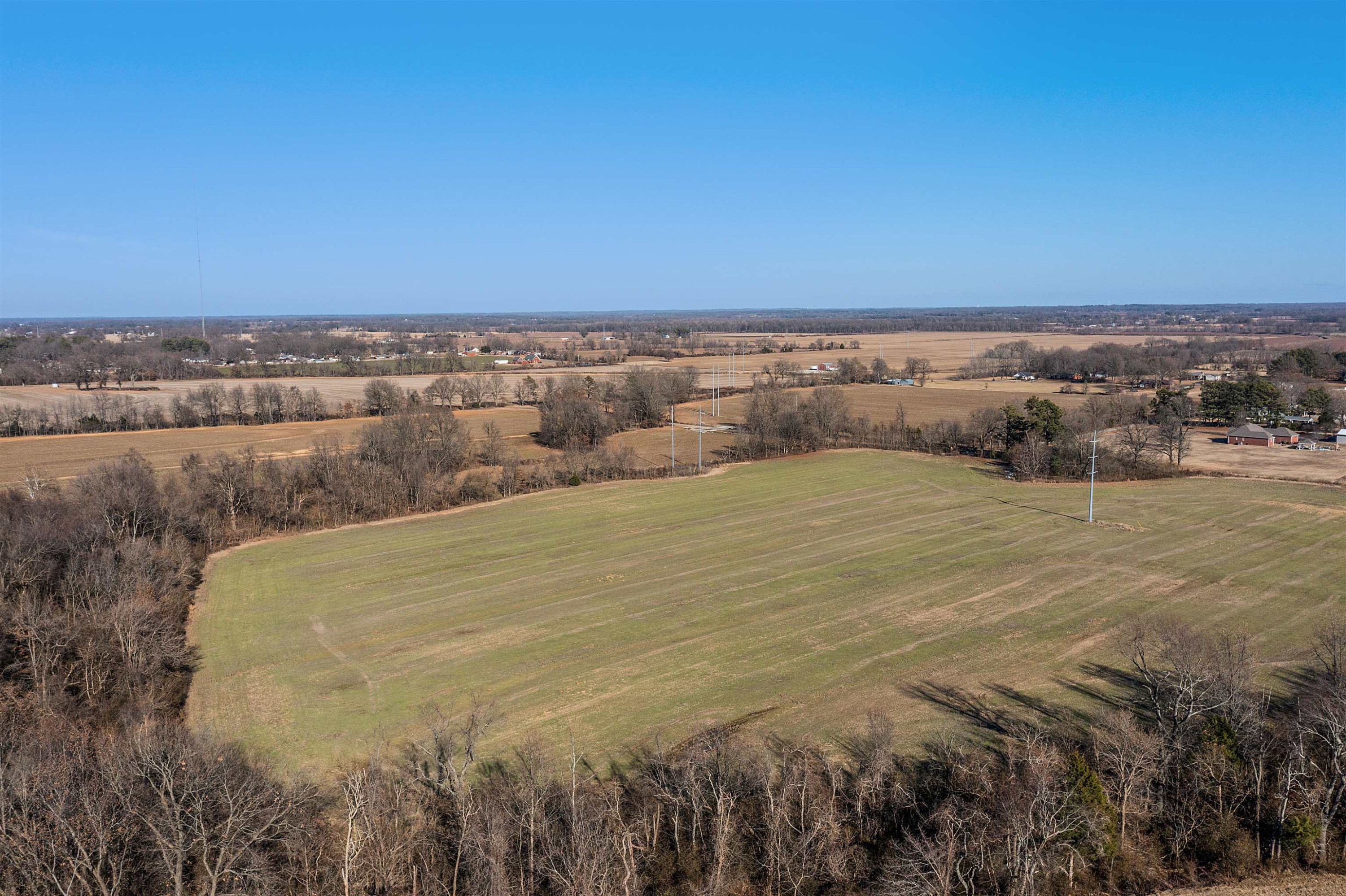 0 Cypress Road Alamo, TN 38001 - Photo 8 of 14 Photo 8
