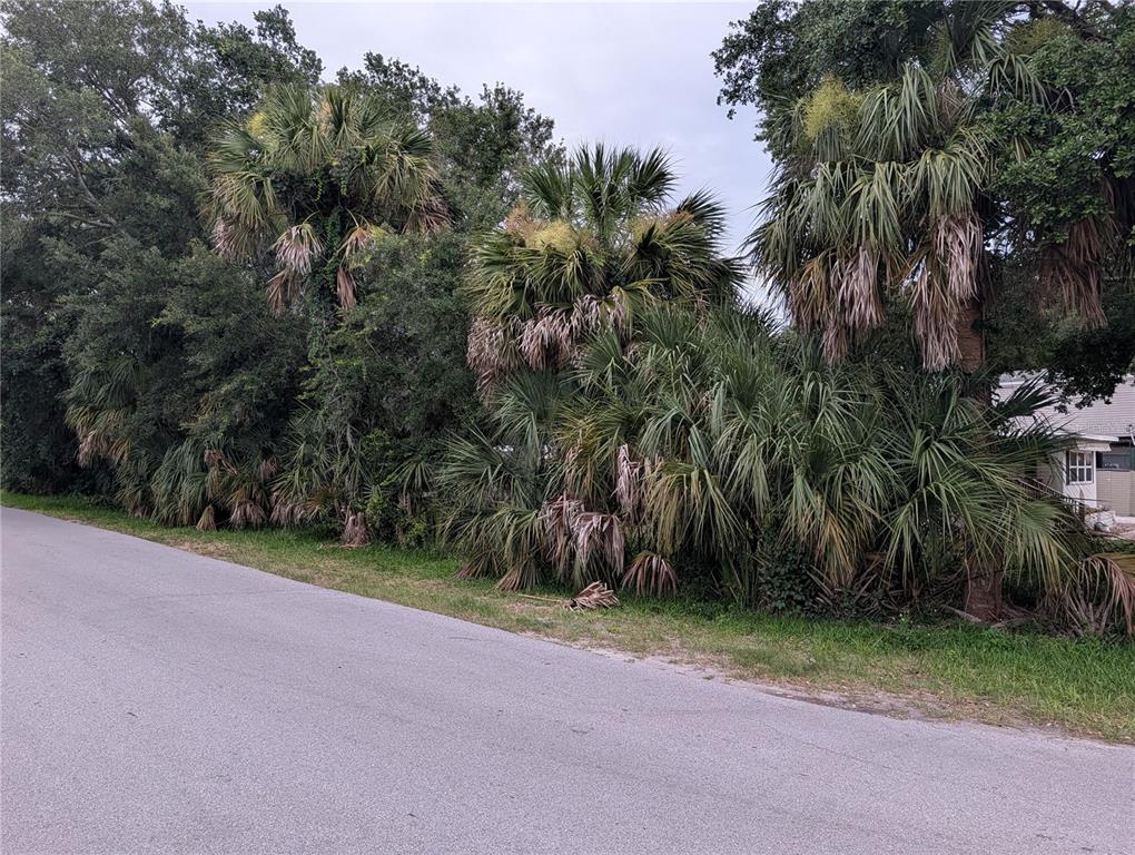 Undisclosed Address Weeki Wachee, FL 34607 - Photo 1 of 8