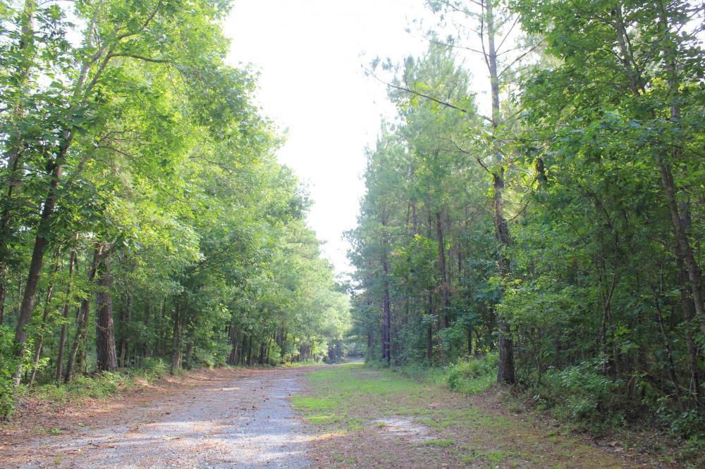 0 Wee Tee Road Andrews, SC 29510 - Photo 32 of 37 31