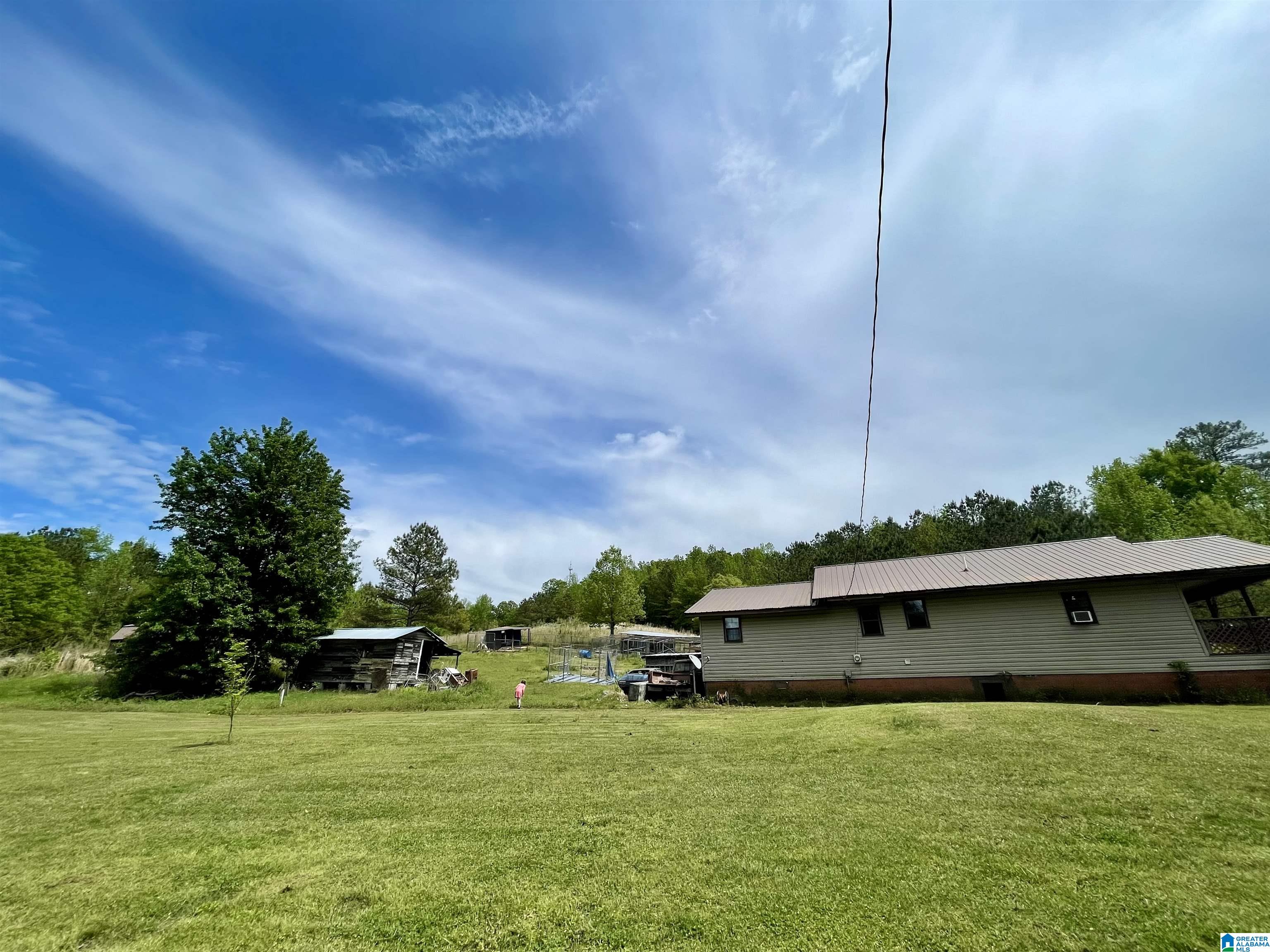 3927 Brazel Mill Road Altoona, AL 35952 - Photo 18 of 21