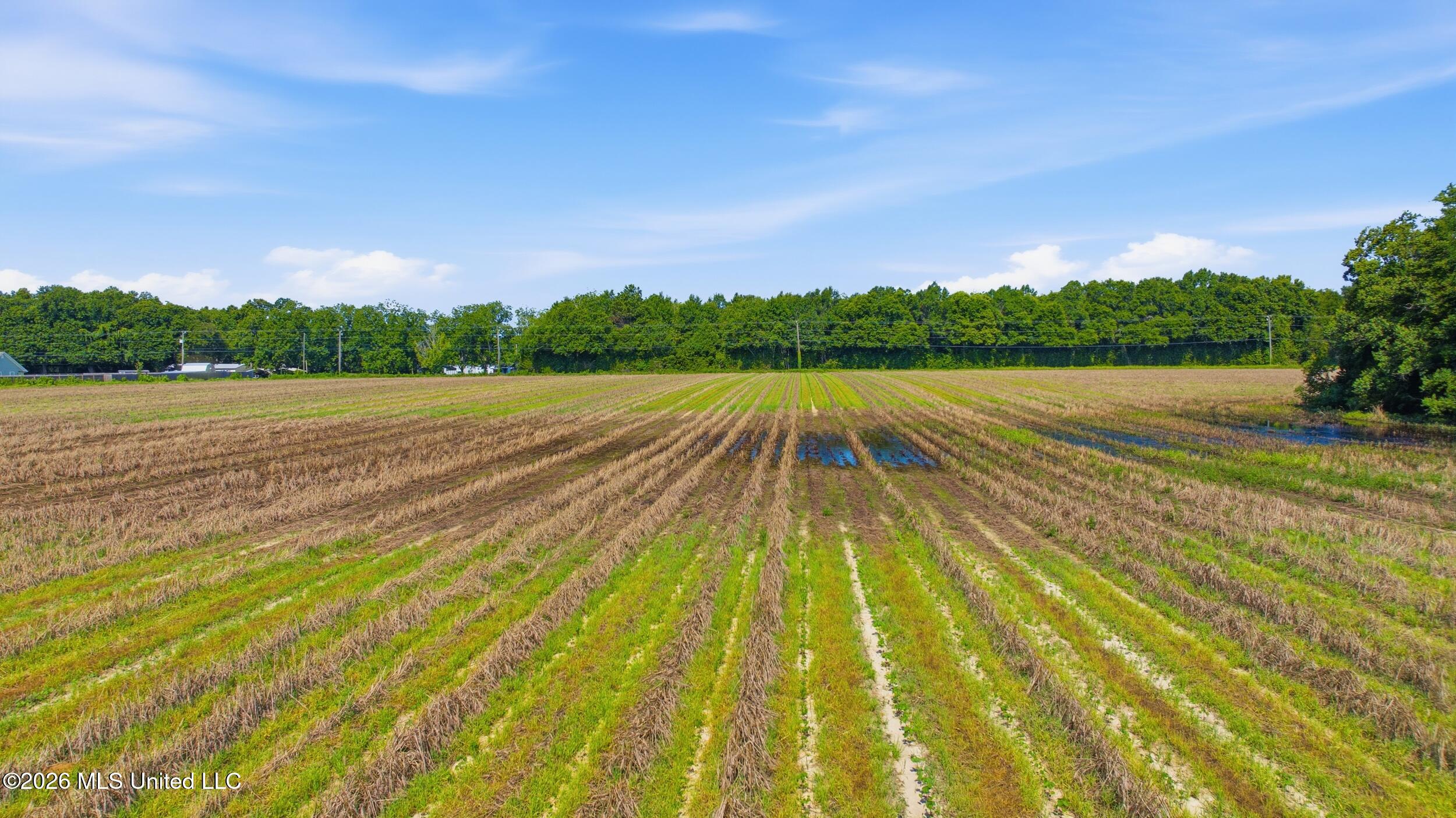 28-acres Harmon Pope Road Lucedale, MS 39452 - Photo 42 of 43 dji_20260628001623_0211_d