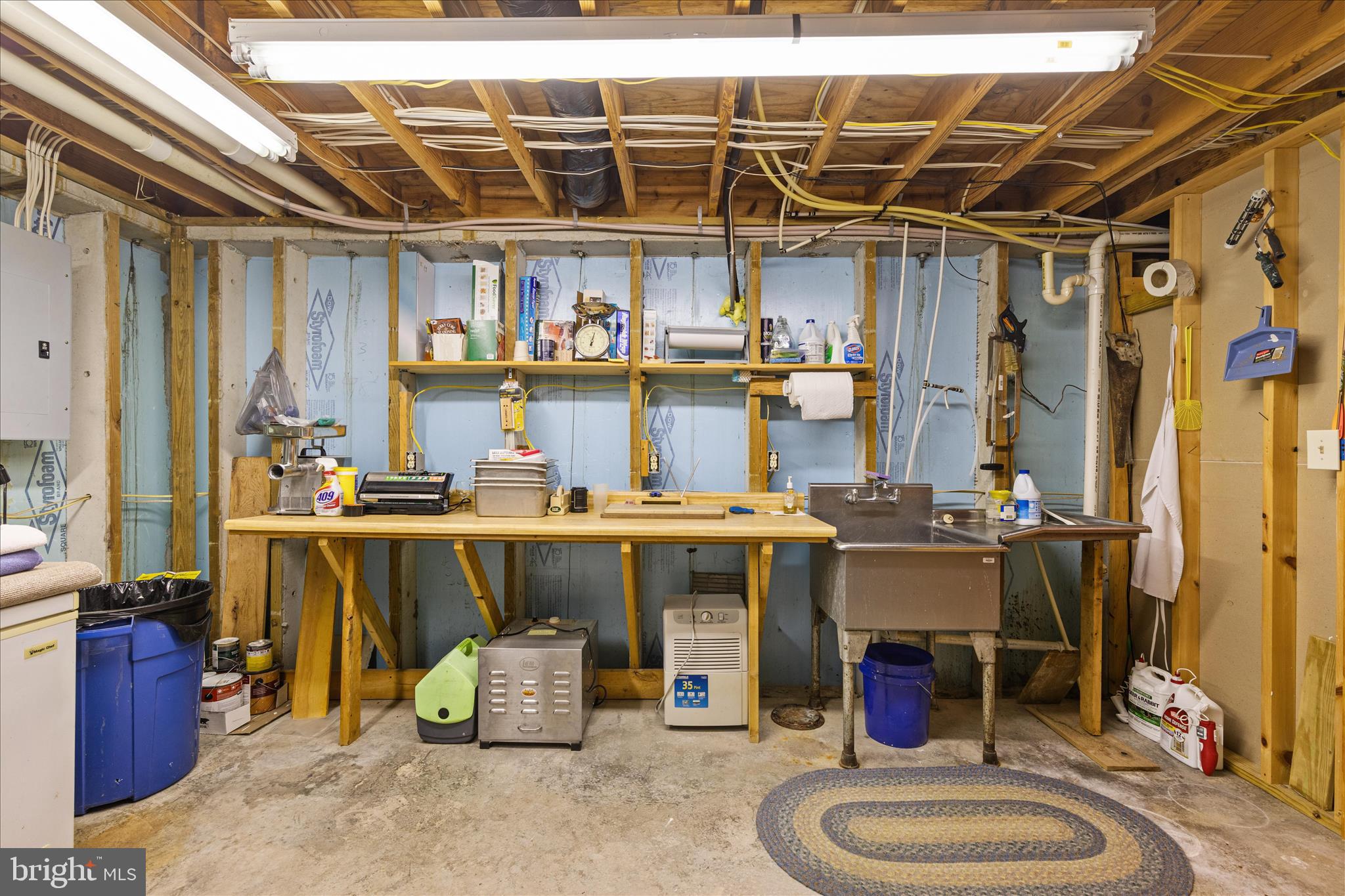 272 Buster Brown Drive Rio, WV 26755 - Photo 58 of 113 Workshop/Utility Room in the Basement