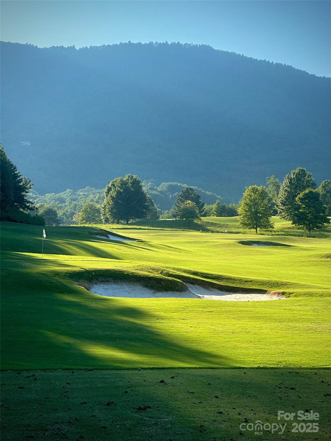 305 Clubhouse, Unit B301 Mill Spring, NC 28756 - Photo 37 of 38