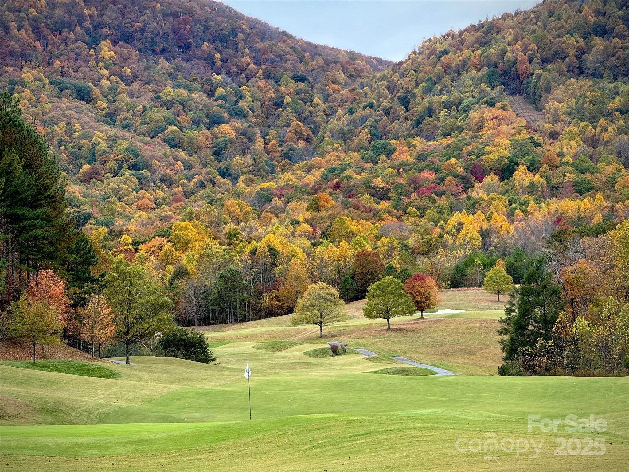 305 Clubhouse, Unit B301 Mill Spring, NC 28756 - Photo 38 of 38