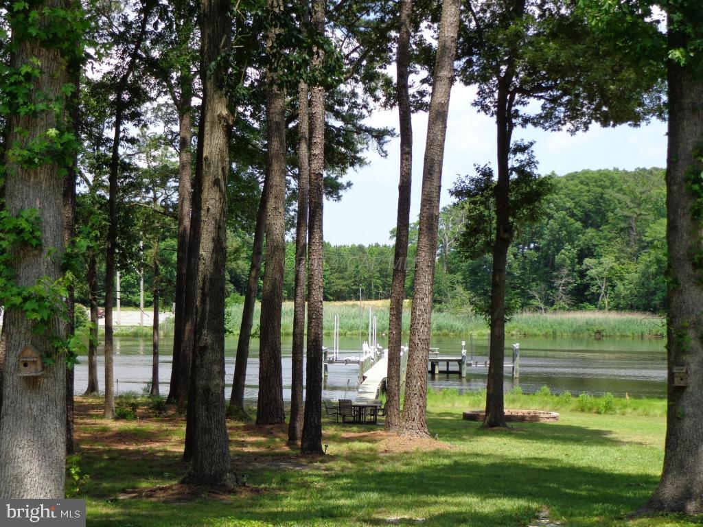 12444 Collins Road Bishopville, MD 21813 - Photo 25 of 34 Gallery Image 25