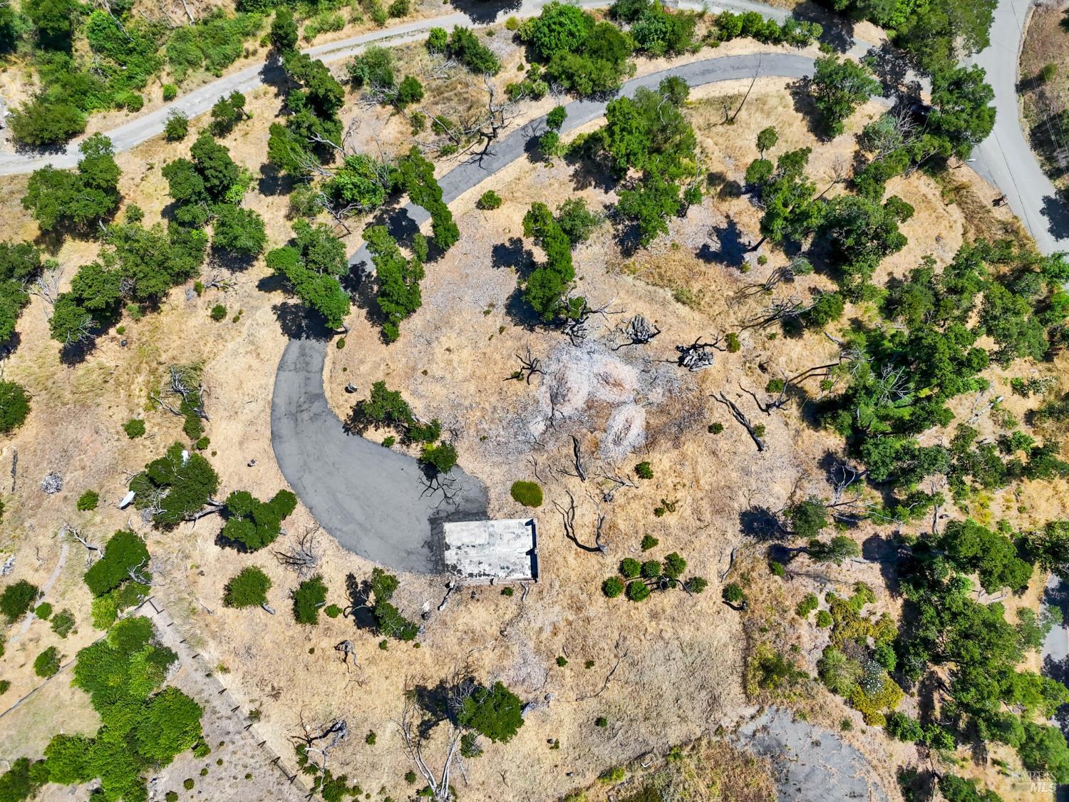 1400 Michele Way Santa Rosa, CA 95404 - Photo 29 of 35 a view of a garden with a flower