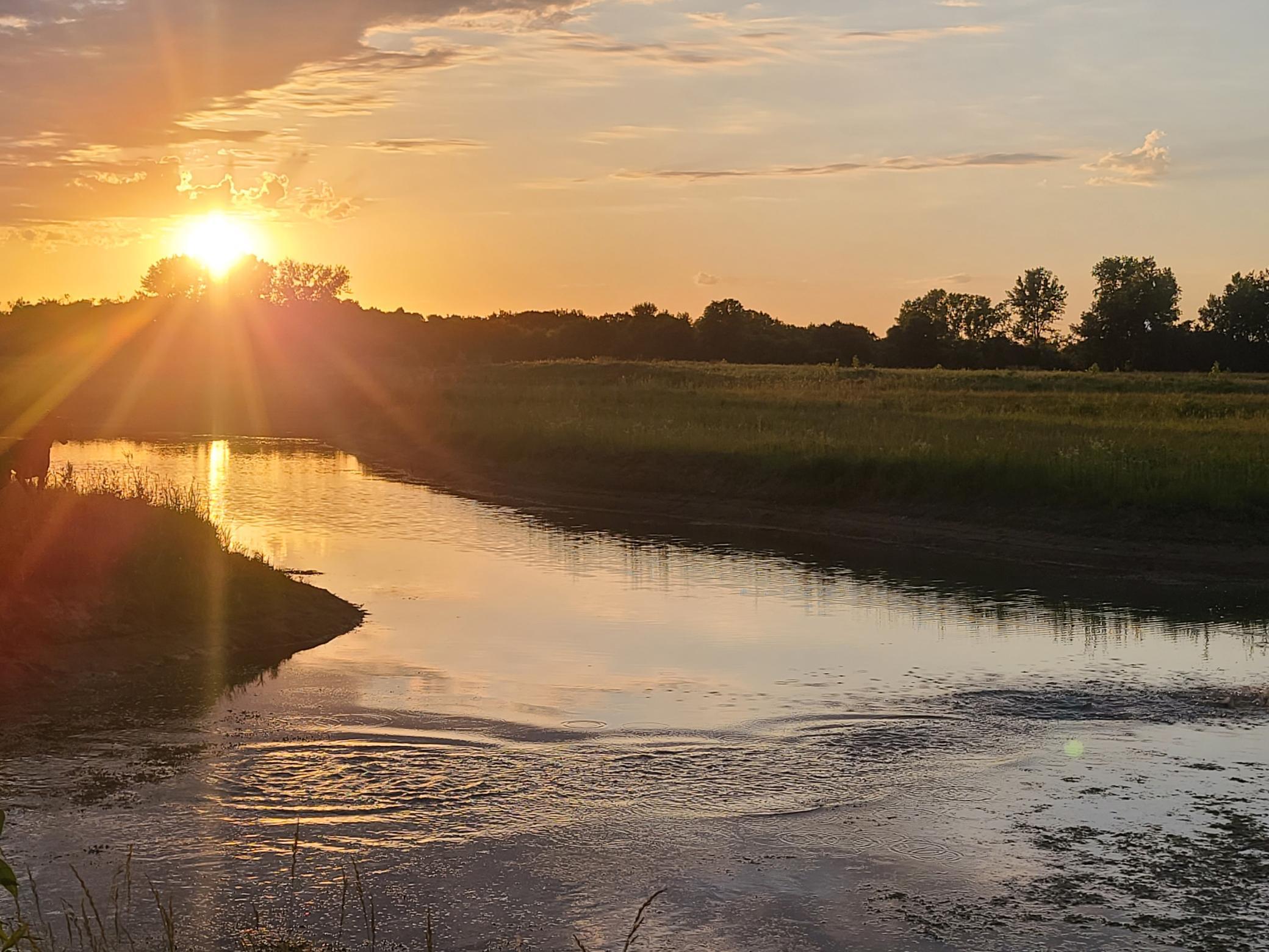 20885 Hardwood Road North Forest Lake, MN 55025 - Photo 35 of 36
