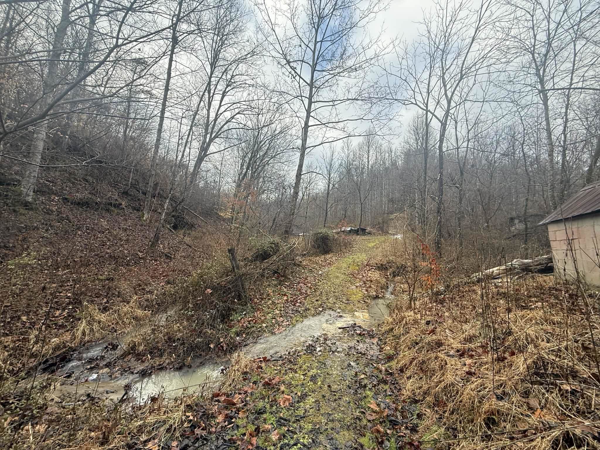 24516 Slick Rock Road Rush, KY 41168 - Photo 19 of 24 Gallery Image 19