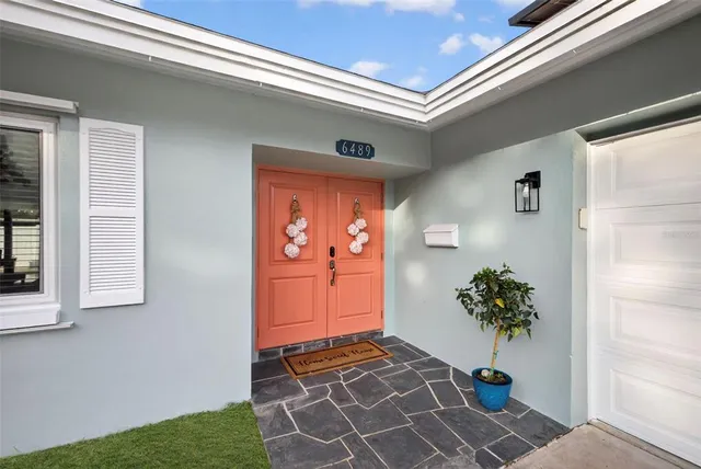 a potted plant sitting in front of a door