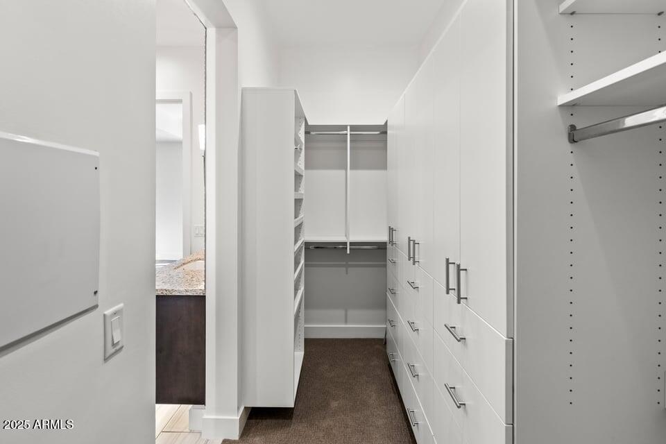 6166 North Scottsdale Road, Unit B2008 Paradise Valley, AZ 85253 - Photo 35 of 69 a view of walk in closet