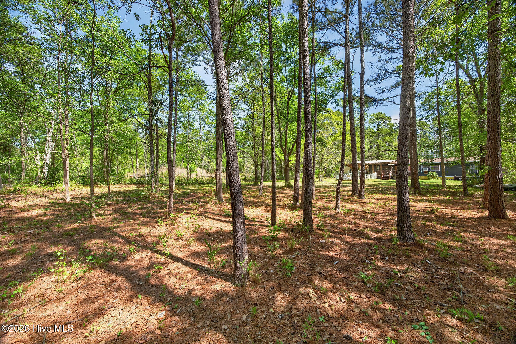 5409 Prosperity Lane Castle Hayne, NC 28429 - Photo 39 of 45 5409ProsperityLane-17