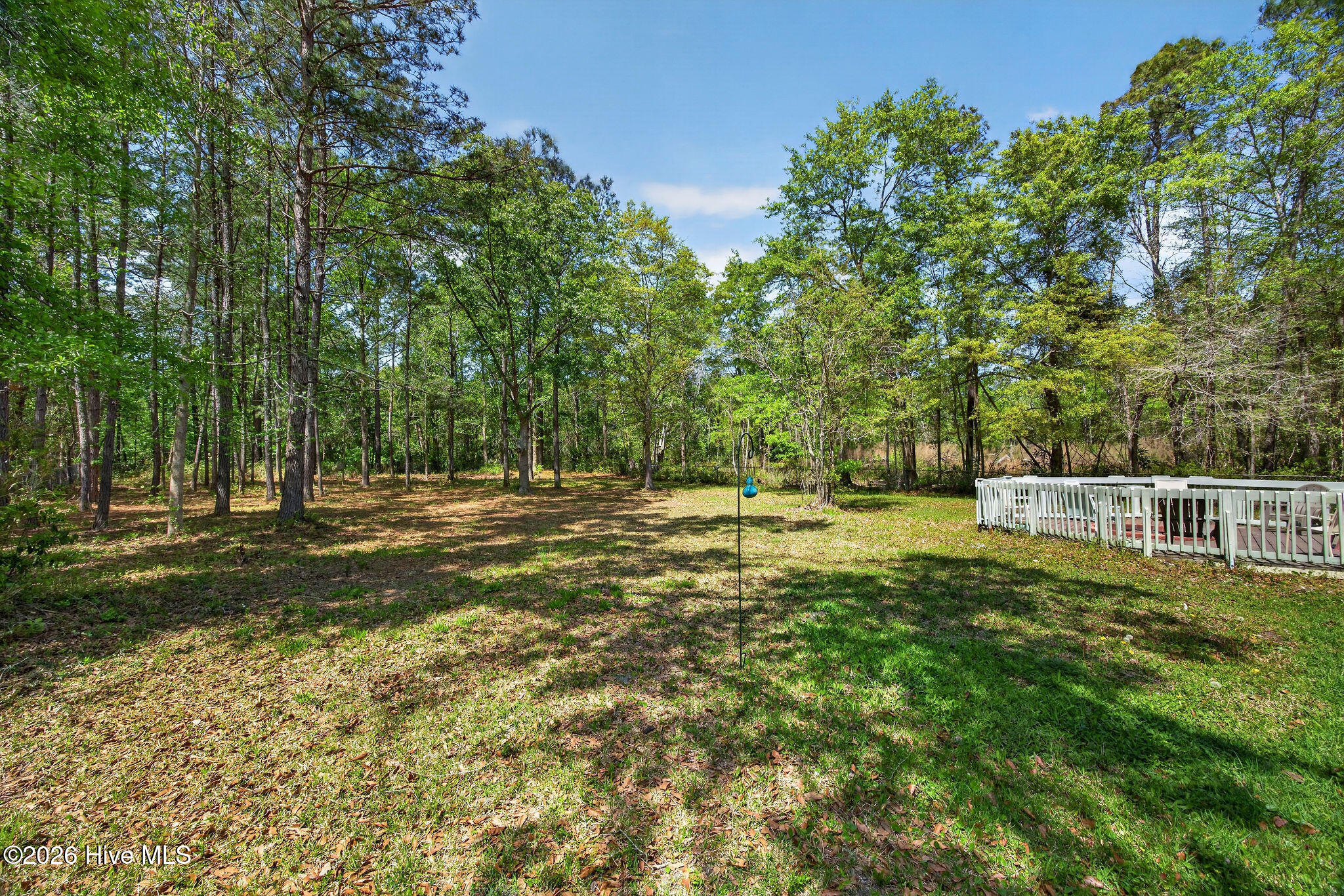 5409 Prosperity Lane Castle Hayne, NC 28429 - Photo 40 of 45 5409ProsperityLane-18