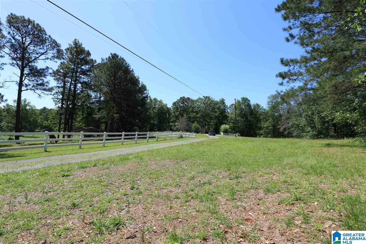 144 Rodeo Drive Pell City, AL 35128 - Photo 22 of 27