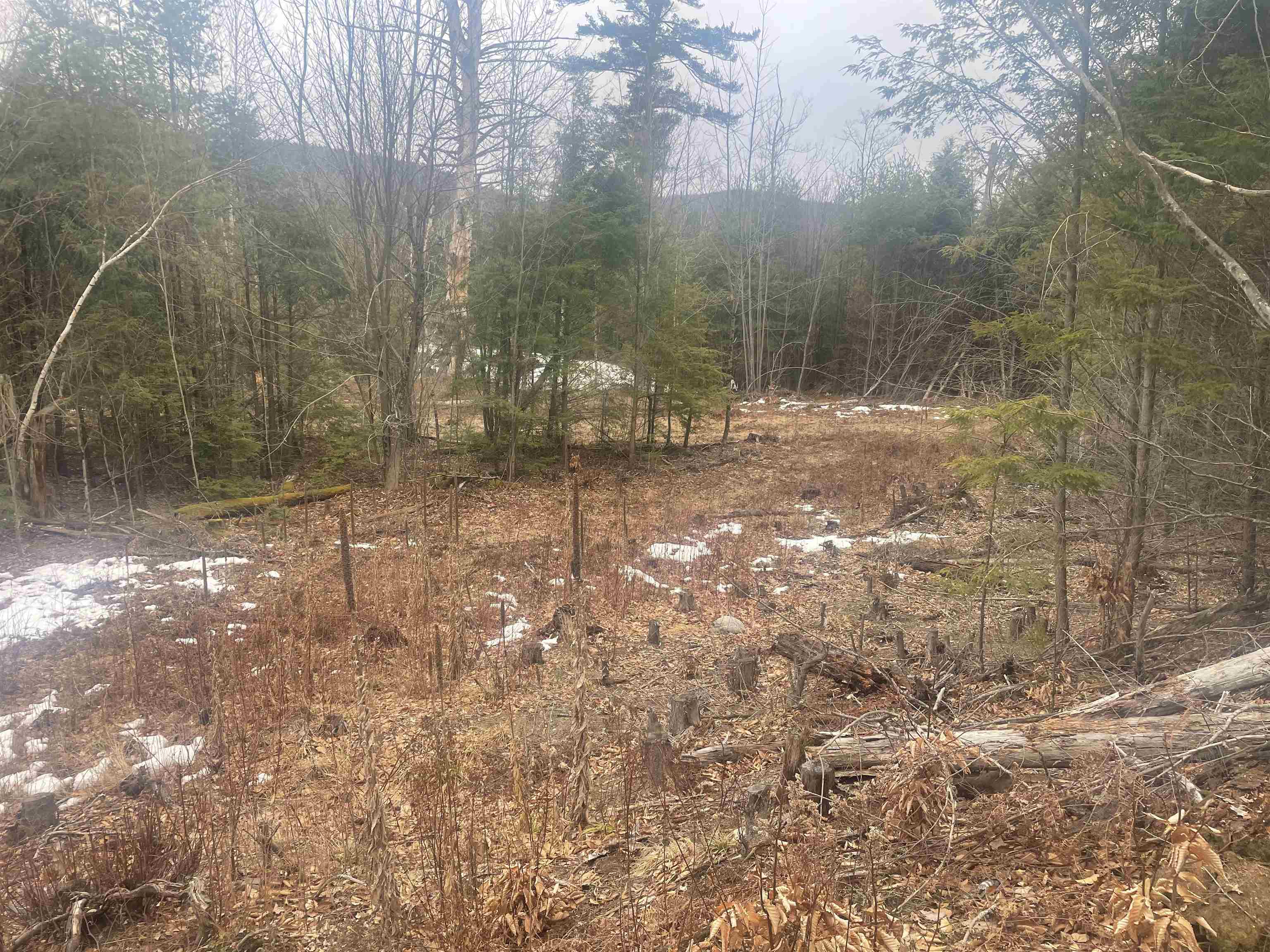 46-3 Benton Road, Unit 3 North Haverhill, NH 03774 - Photo 15 of 21