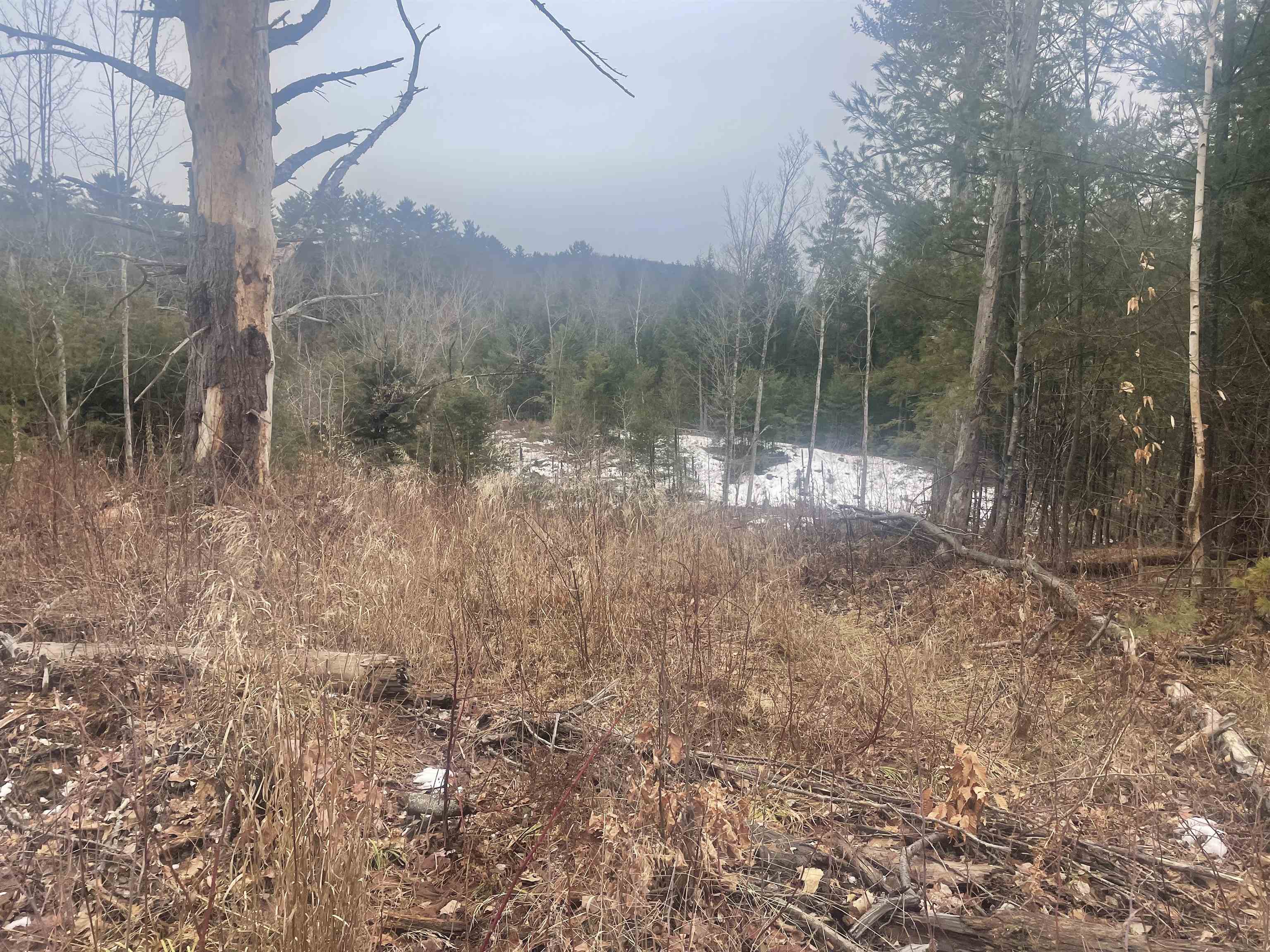 46-3 Benton Road, Unit 3 North Haverhill, NH 03774 - Photo 17 of 21