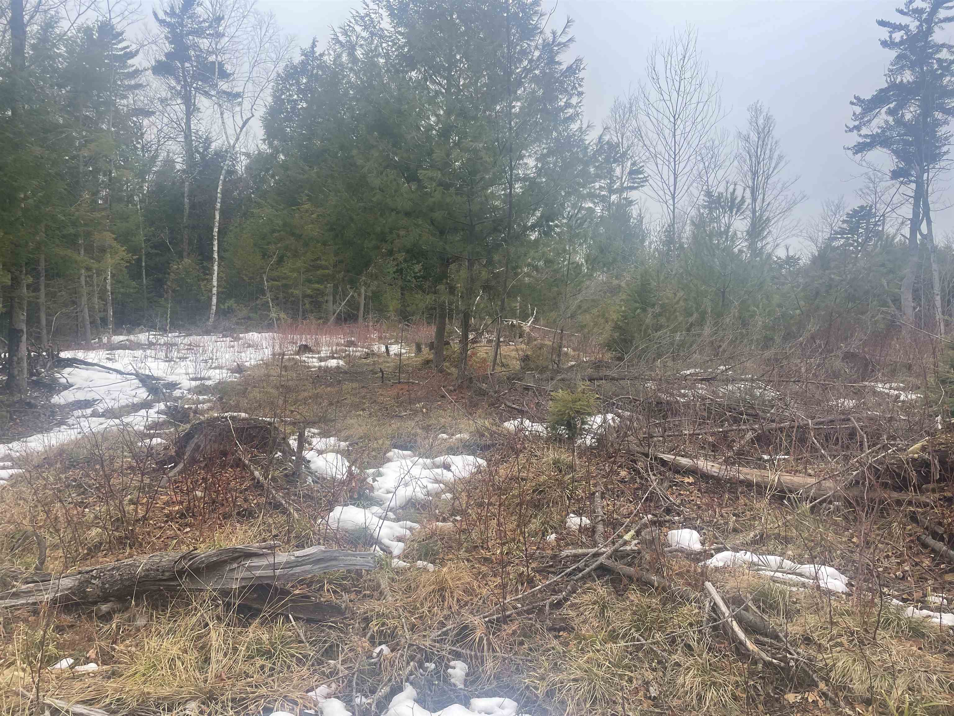 46-3 Benton Road, Unit 3 North Haverhill, NH 03774 - Photo 19 of 21