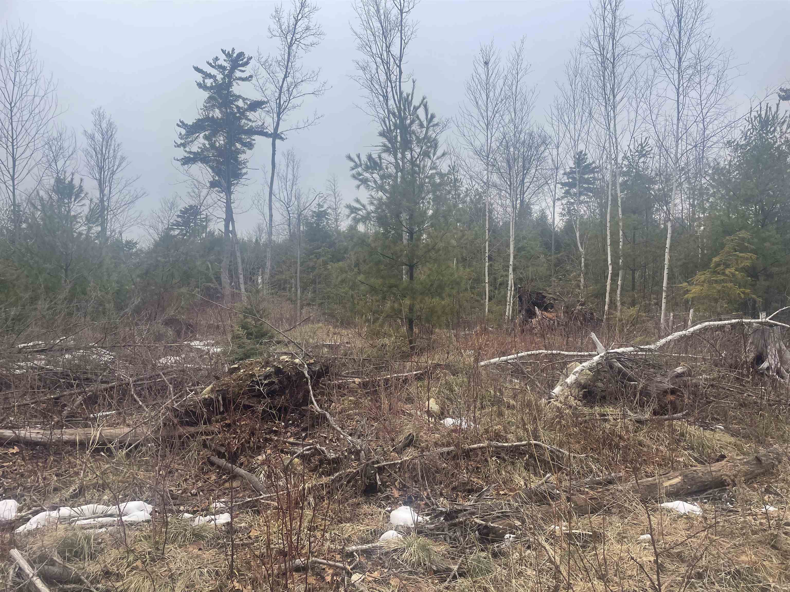 46-3 Benton Road, Unit 3 North Haverhill, NH 03774 - Photo 20 of 21