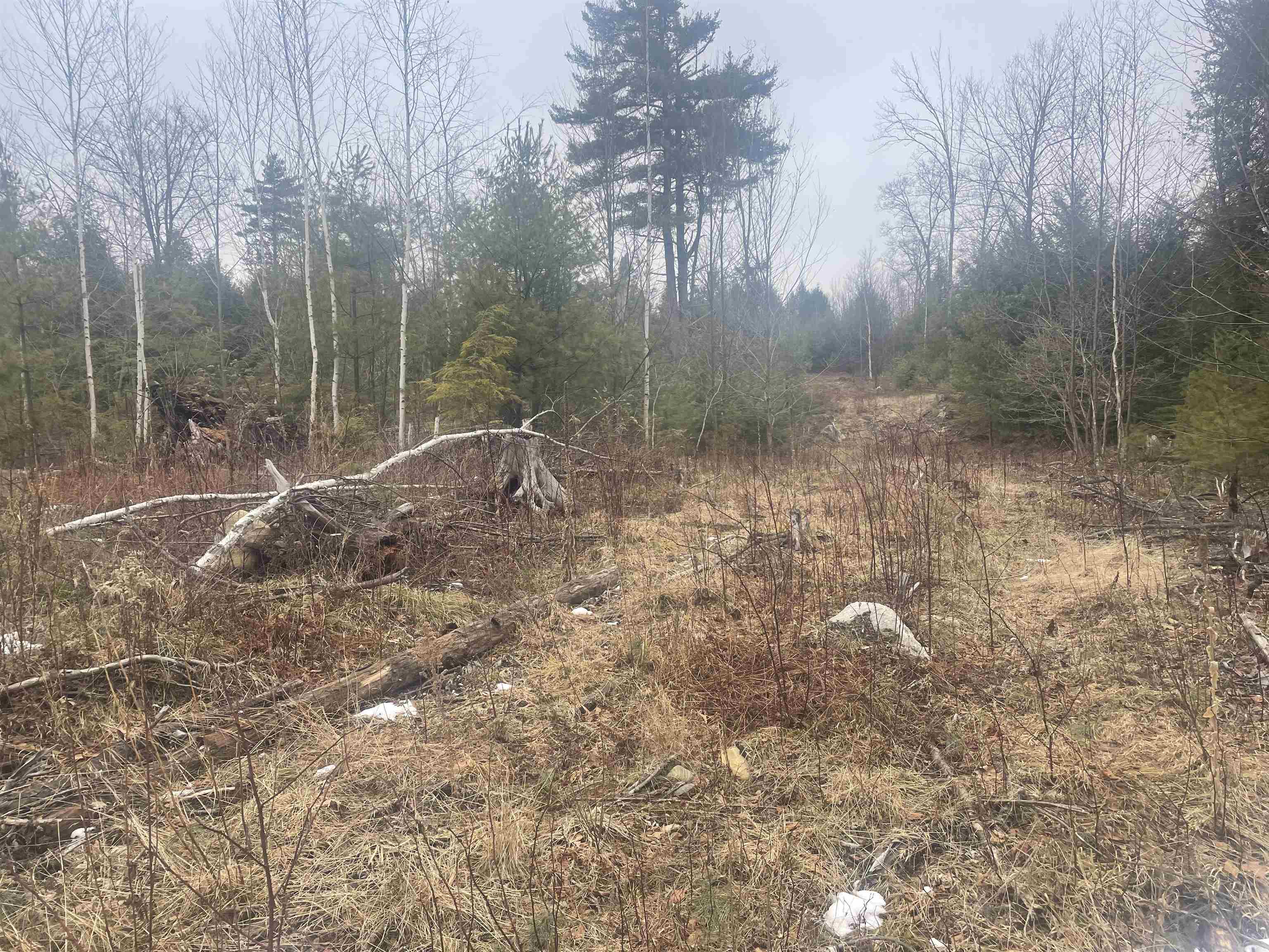 46-3 Benton Road, Unit 3 North Haverhill, NH 03774 - Photo 21 of 21