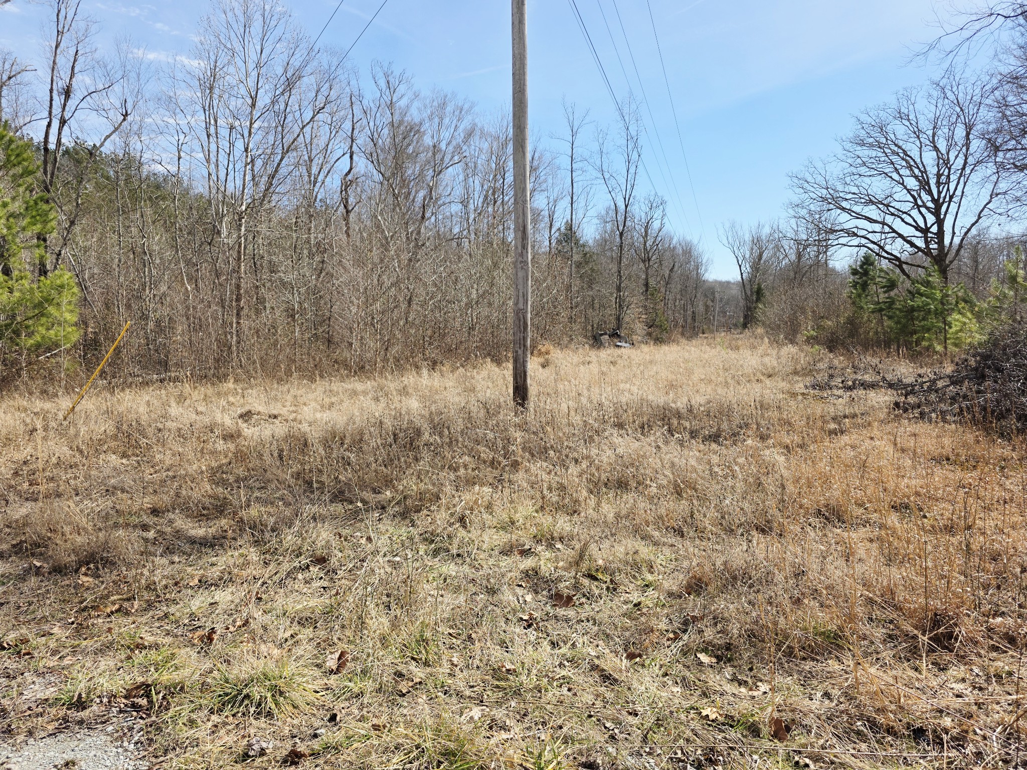 0 Birdsong Road Holladay, TN 38341 - Photo 10 of 70