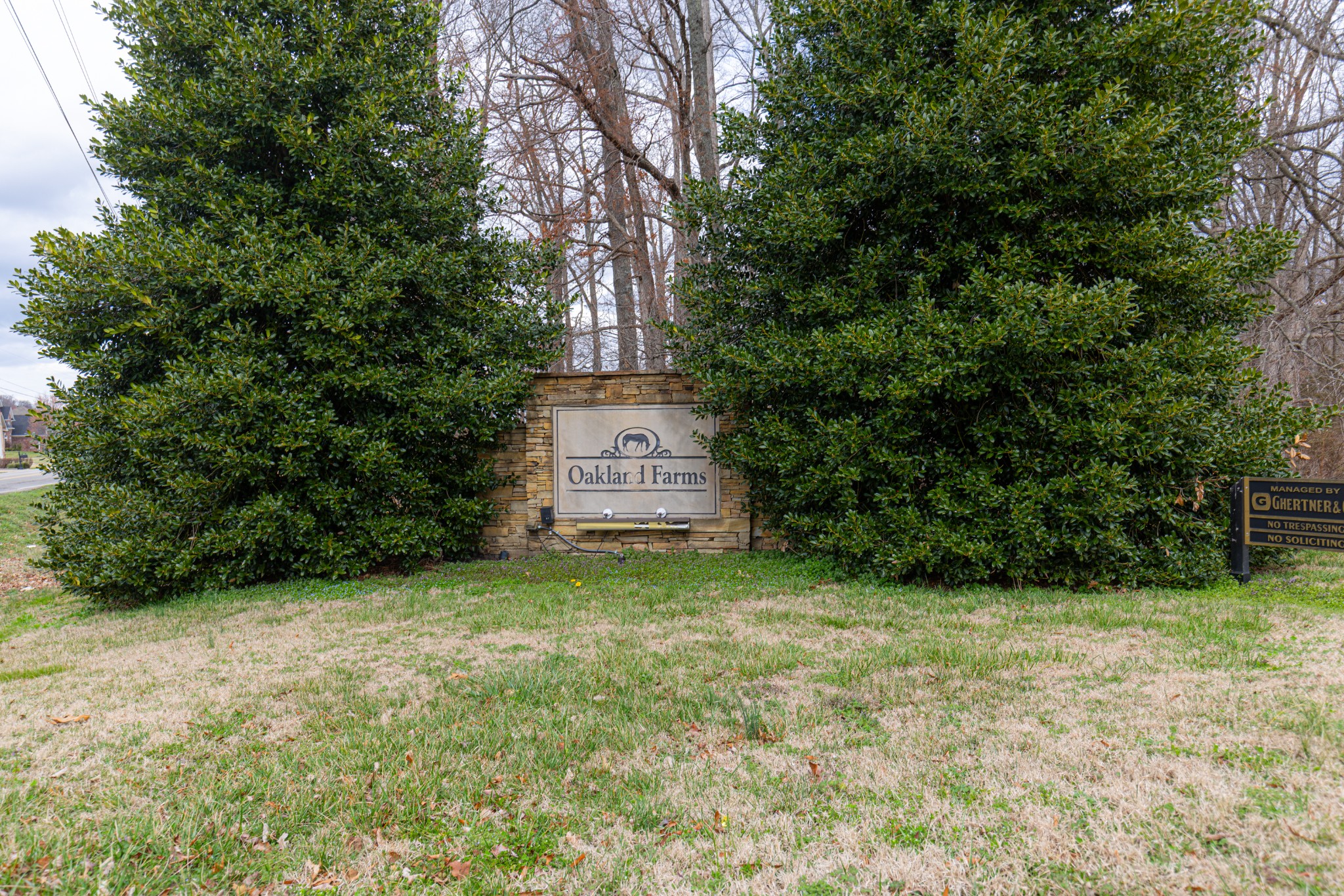 317 Brandywine Lane Springfield, TN 37172 - Photo 15 of 18