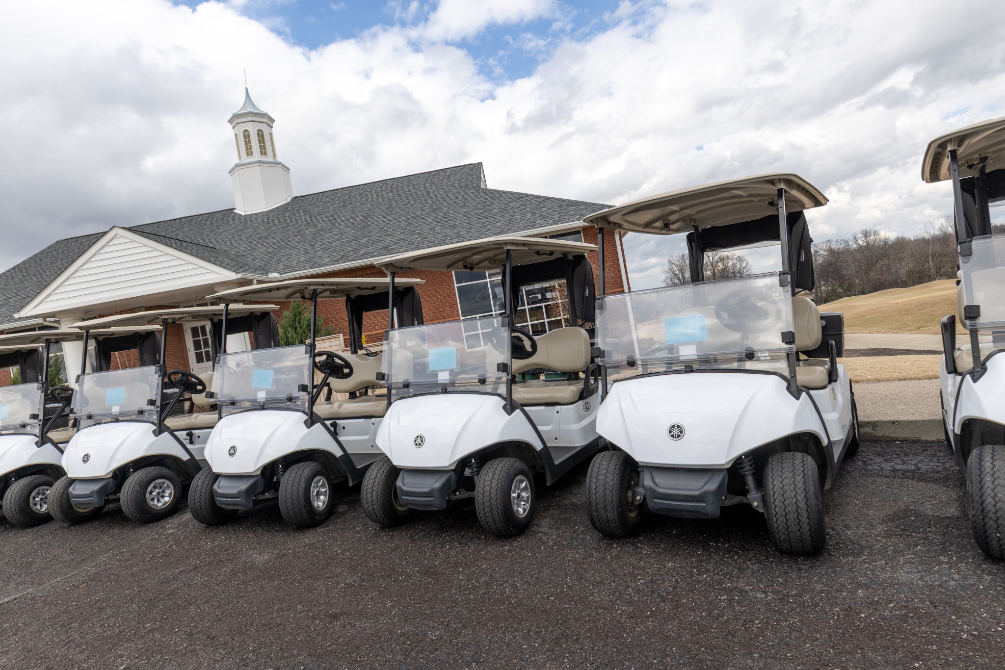 317 Brandywine Lane Springfield, TN 37172 - Photo 18 of 18