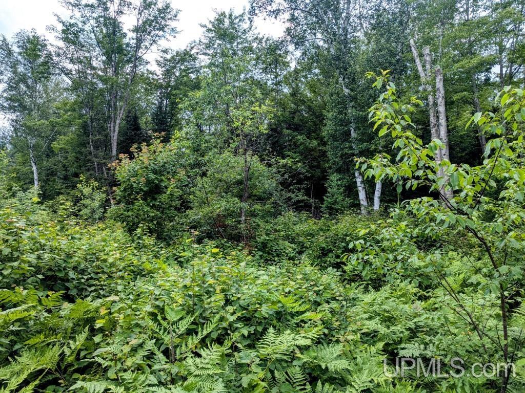 424 Rd Alpha Mi 49902 Road Alpha, MI 49902 - Photo 21 of 31